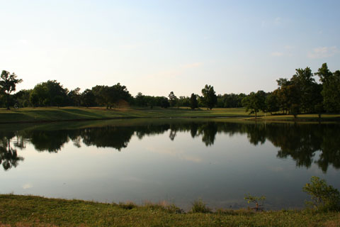 IMG_1453.jpg